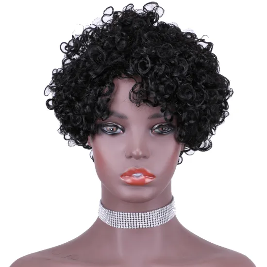 Hot Sell Best Human Hair Wigs Bouncy Kinky Curly Hair Brazilian Short Curly Wigs Jerry Curl Pixie Cut Wigs Human Hair For Woman
