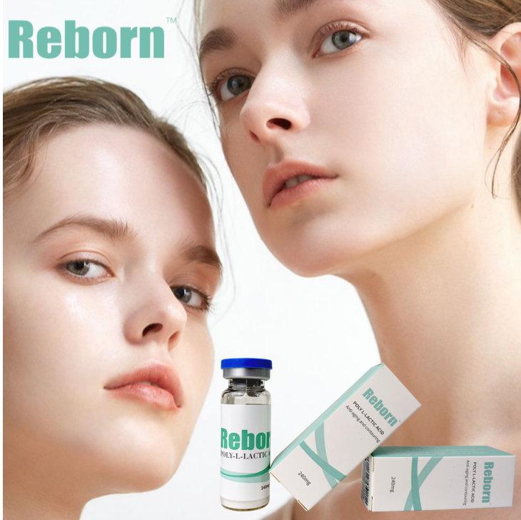 Reborn Plla Filler 2304 1 Png