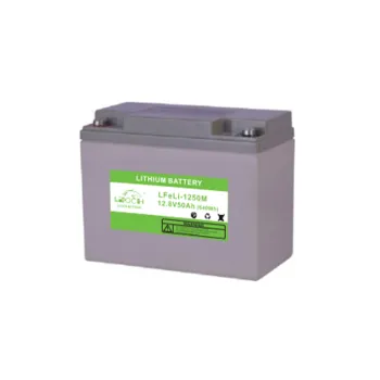 Leoch Lithium Iron Battery - Large Capacity High Quality Backup Power Supply