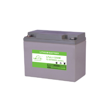 Leoch Lithium Iron Battery - Large Capacity High Quality Backup Power Supply