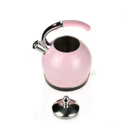 Stainless Steel European Electric Teapot