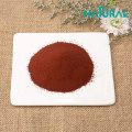 Warna Makanan Beta Carotene 10% Beta Carotene Powder