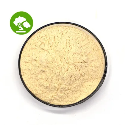 Top Quality Lecithin of Soya Lecithin Phosphatidylcholine
