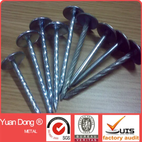 Large quantity in stock galvanized roofing iron nails