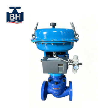 Standard Pneumatic Single Seat Control Valve