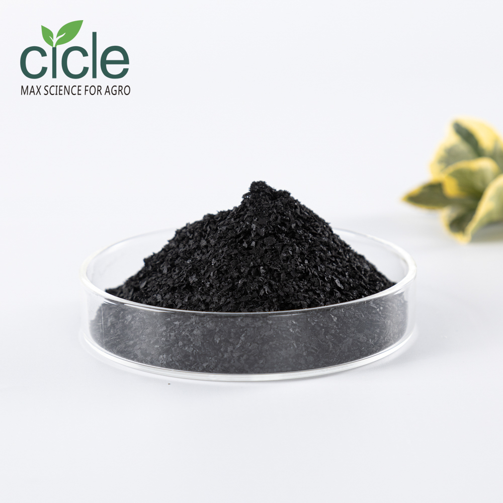 Potassium Humate Flakes Organic fertilizer