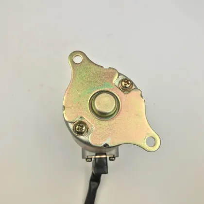 SYM Fiddle 2 125 Motorcycle Starter Motor Replacement Guide