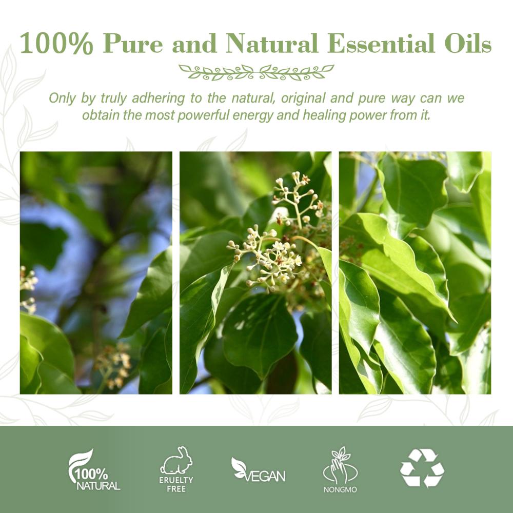 Wholesale High Quality Ravensara Essential Oil Nature Aromatherapy