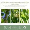 Aromaterapia de naturaleza esencial de aceite esencial de alta calidad al por mayor de alta calidad