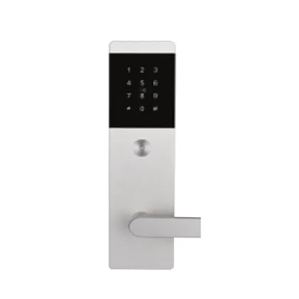 Smart cloud door lock