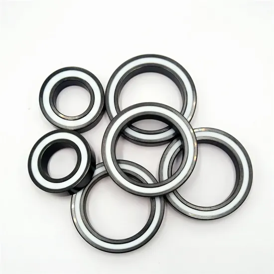 6902-2RS 61902 Full Ceramic Bearing 15x28x7mm with PTFE Cage