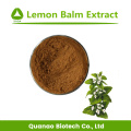 Melissa officinalis Lemon Balm Extract Rosmarínico Ácido