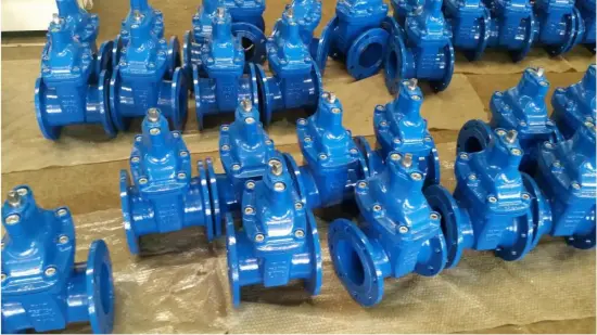 DN80 Gate Valve BS