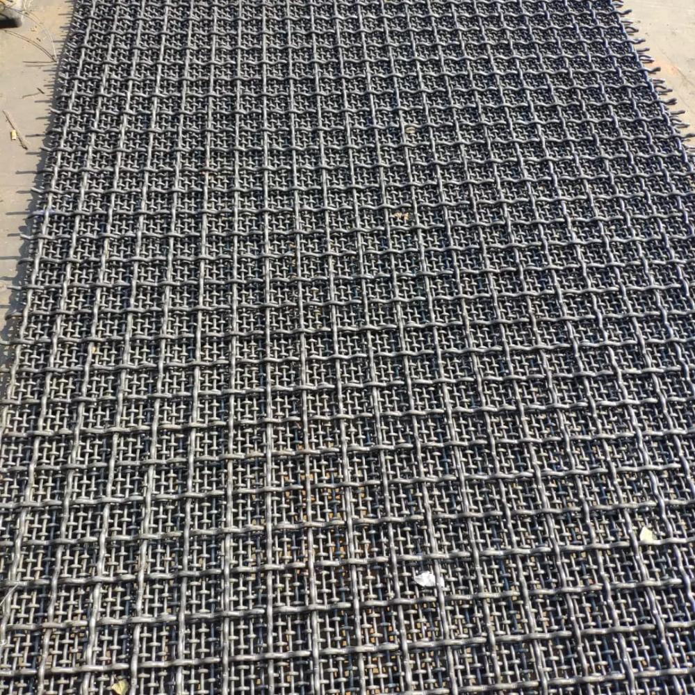 Galvanizzata filo crowped mesh 2x2