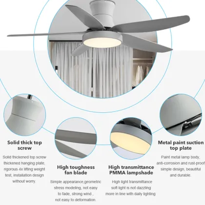 Copper Motor Modern Ceiling Fan Lights for Home Decoration