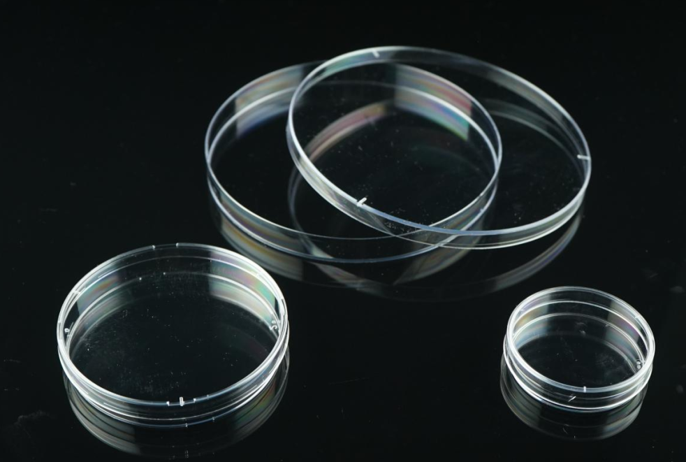 Why are petri dishes inverted during culturing?