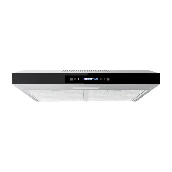 Competitive Price Attractive Design Range Hood with Light