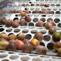 Linha de classificação integrada do tamanho da secagem do ar de lavagem da bolha do fruto