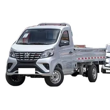 2024 Model: Changan Kaicheng Shenqi T30 CNG Double Row Truck - Comfortable Mini Truck for Sale