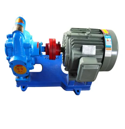 Magnetic Pump Stainless Steel Magnetic Pump