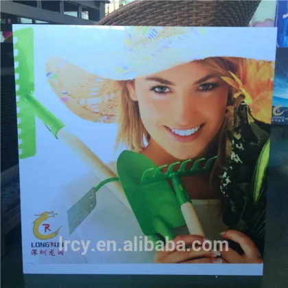 printing machine on plastic , plastic sheet printing machine , printer for plastic