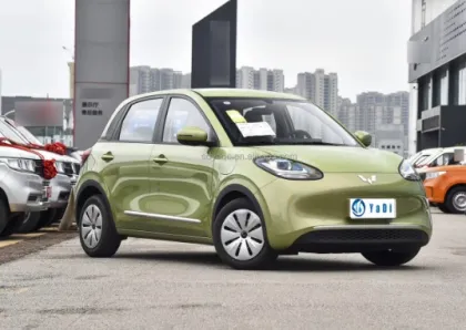 China's Wuling Bingo: The New Affordable Electric Car