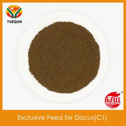 Wholesale Exclusive Feed for Discus C1