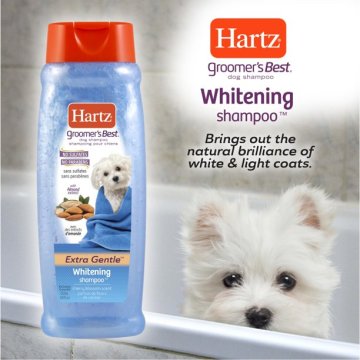 Syampu anjing pemutihan terbaik Hartz Groomer