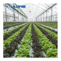 Tuberías de PVC de Hydroponics NFT agrícolas