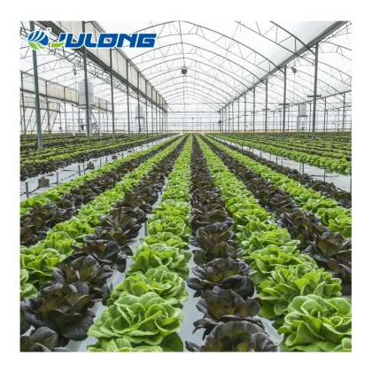 Agricultural NFT Hydroponics PVC Pipes