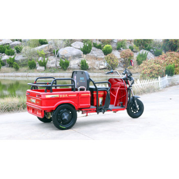 48V 650W battery operated recreation tricycle