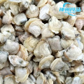 Entsandte lebende Seemuscheln und verarbeitetes gefrorenes Fleisch