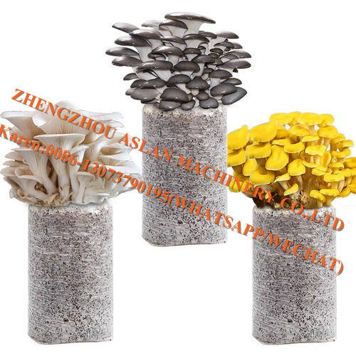 Edible Fungus Bagging Machine: Mushroom Substrate Mixing and Bagging Production Line