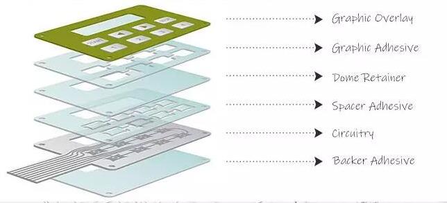 structure of membrane switch