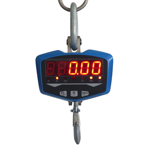 300kg-3t hoist weighing scale