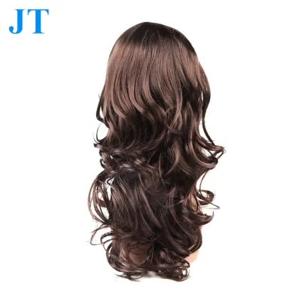 New Arrival Top Quality And Fast Shipping Indian Full Lace Human Hair Wigs Online