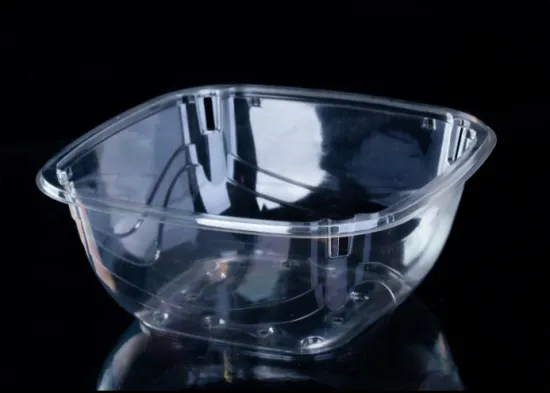 High Hardness Salad Fruit Container
