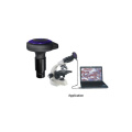 3MP -Industrie Digitale Mikroskop -Augenhautadapter USB