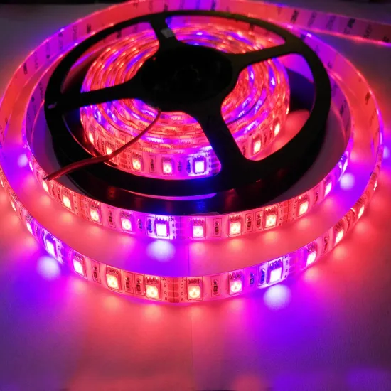Waterproof IP65 SMD5050 Red Blue LED Grow Light Strip for Indoor Plants