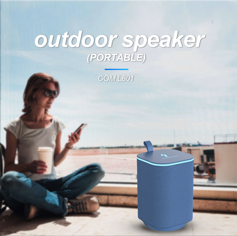 801-1 BT speaker