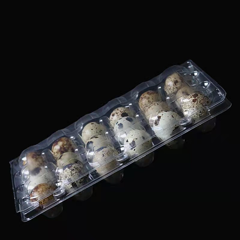 Wholesale Quail Eggs Tray Blister Box Clamshell Packaging