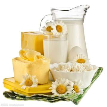 Rennet enzyme for cheese and yogurt