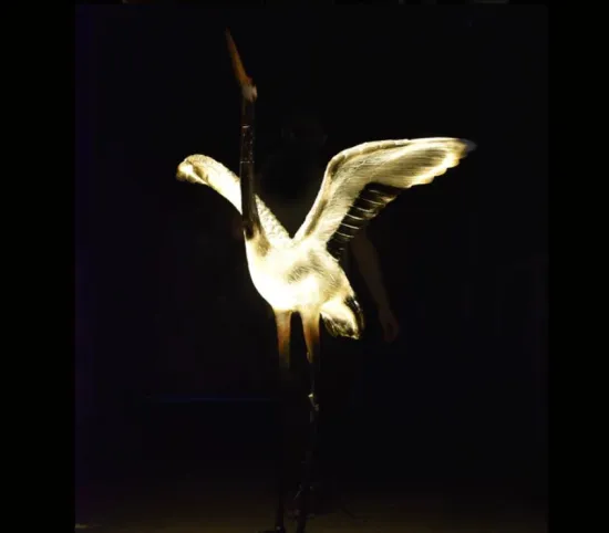 Simulation Crane N Lights