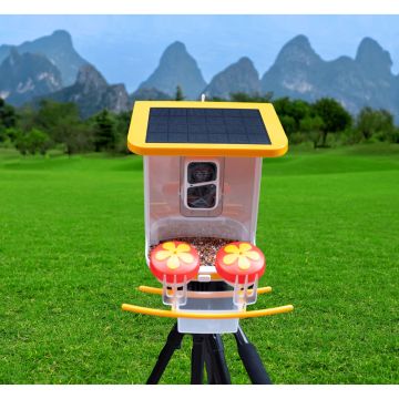 Caméra d'alimentation en plein air sans fil propulsée par AI avec contrôle de l'application