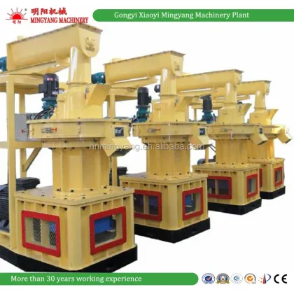 Biomass Fuel: Rice Husk, Grass, Sawdust, and Wood Pellets