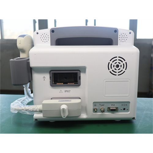 Portable B-Ultrasound Scanner with Tow Probes