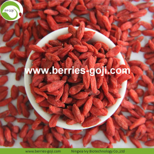 Melhor venda Qualtiy quente seca Goji Tibet