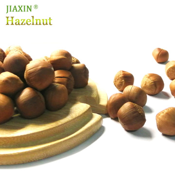 Hazelnuts for Small Trade Quality Choice Filbert Nut