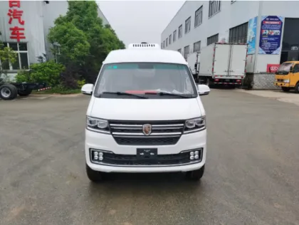 Mini New Energy Electric Refrigerator Truck