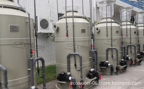ECO Bubble Magus Protein Skimmer: The Ultimate Guide and Search Engine